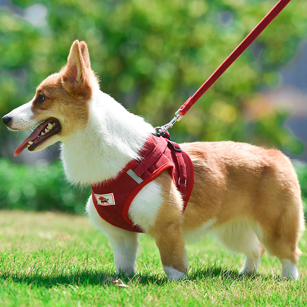 Corduroy Pet Harness XSPH-0043