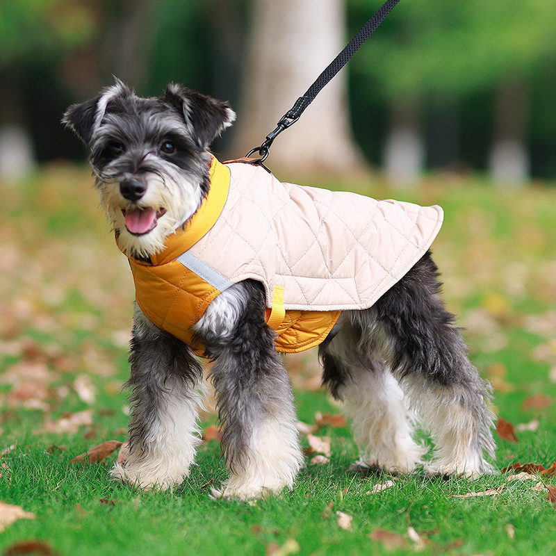 Bright Warm Pet Clothes XSCP-0010