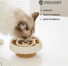 Exquisite Pet Slow Food Bowl XSFB-0098