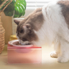 Acrylic Pet Bowl XSFB-0081