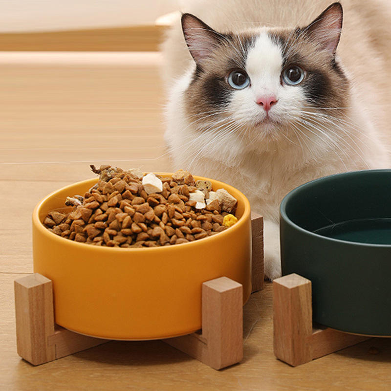 Colorful Pet Bowl XSFB-0038