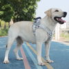 Convenient Pet Harness XSPH-0012