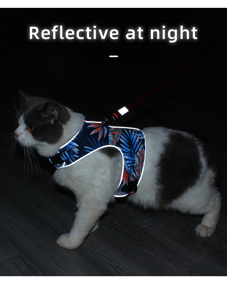 Fashion Pet Harness XSPH-0045