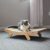 Convenient Cat Scratcher XSTS-0228