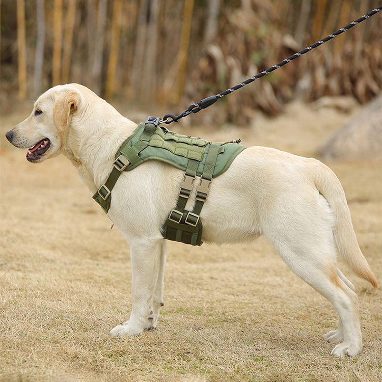 Reflective Pet Leash XSPL-0006