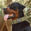 Convenient Pet Collar XSCO-0005