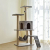 Ordinary Cat Clambing Tree XSTS-0074