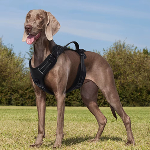 Harnais pour animaux de compagnie XSPH-0060