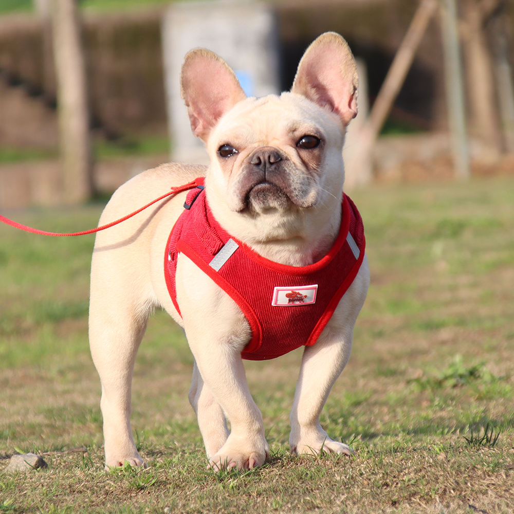Corduroy Pet Harness XSPH-0043