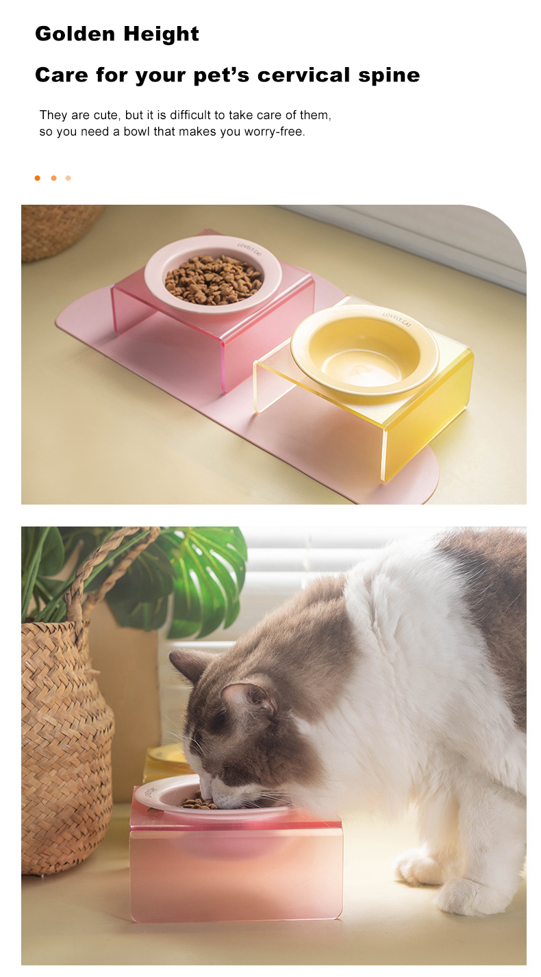 Acrylic Pet Bowl XSFB-0081