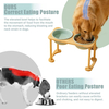 High Based Pet Bowl XSFB-0070