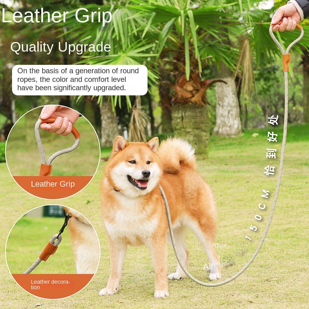 Sturdy Nylon Pet Leash XSPL-0008