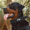 Convenient Pet Collar XSCO-0005
