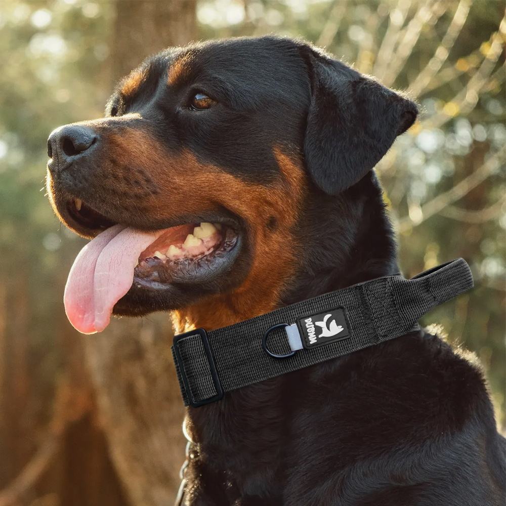 Convenient Pet Collar XSCO-0005