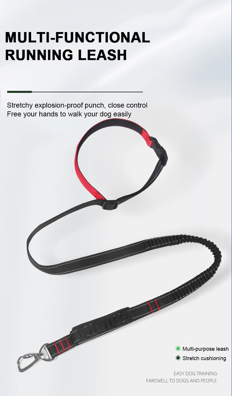Multi-purpose Pet Leashes XSPL-0013