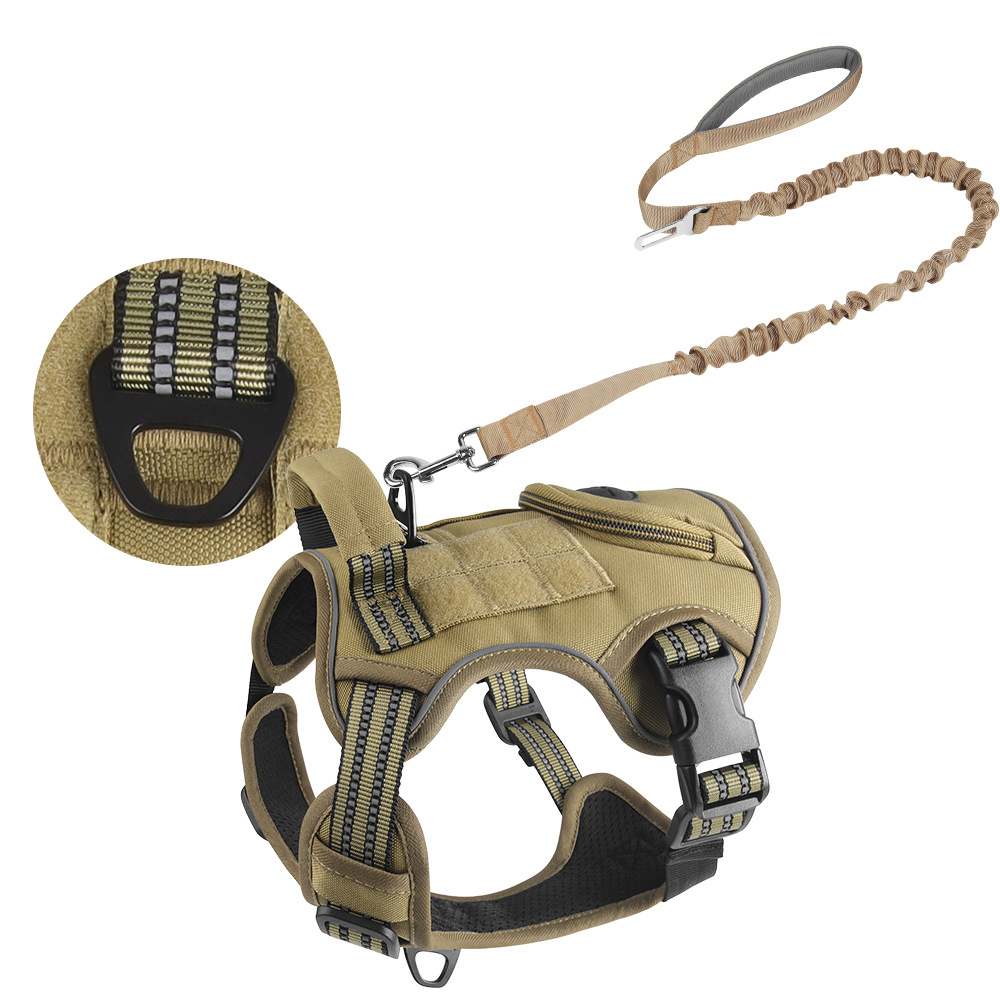 Tenacious Dog Collar XSCO-0008