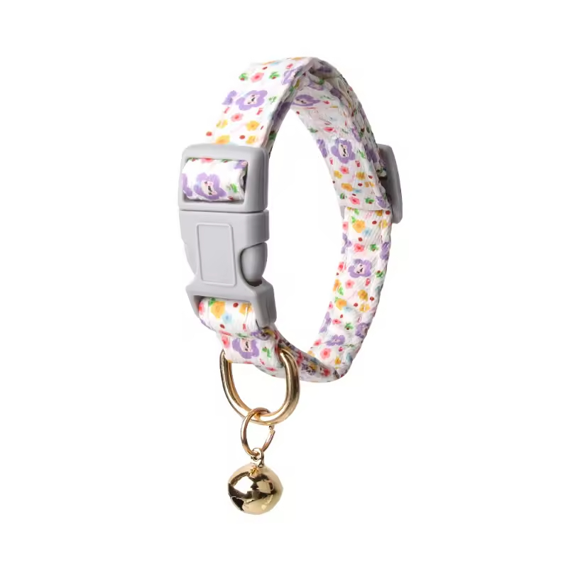 Fashionable Dog Collar XSCO-0011
