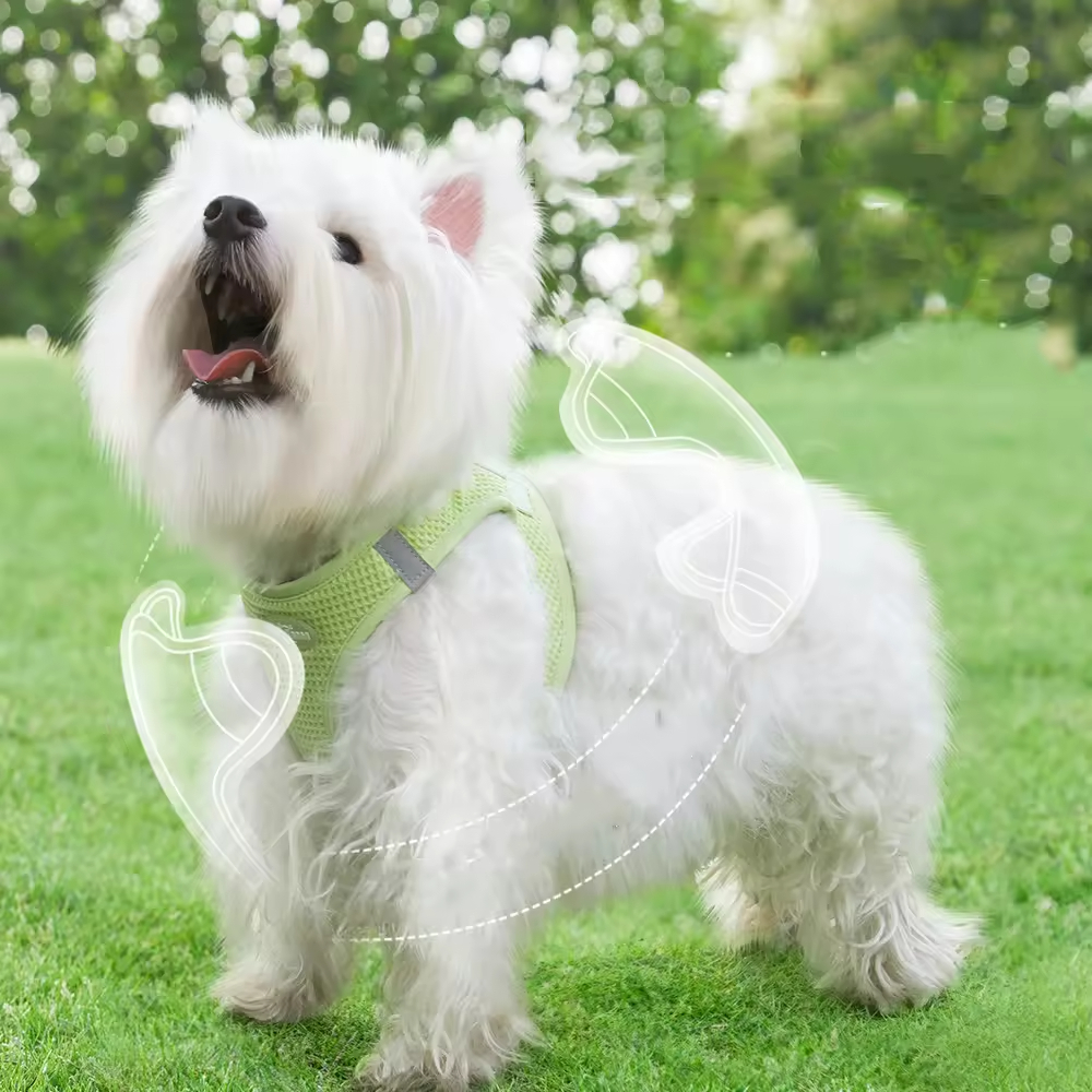 Arnés de mascotas transpirable XSPH-0067