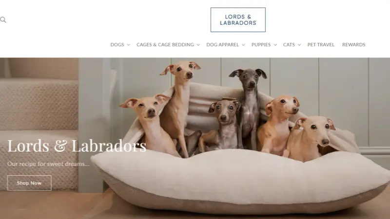 Lords-Labradors-Website (1)