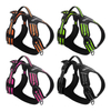 Harnais pour animaux de compagnie XSPH-0060