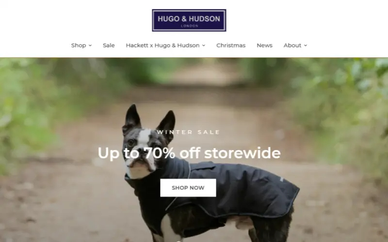 hugo-hudson-website