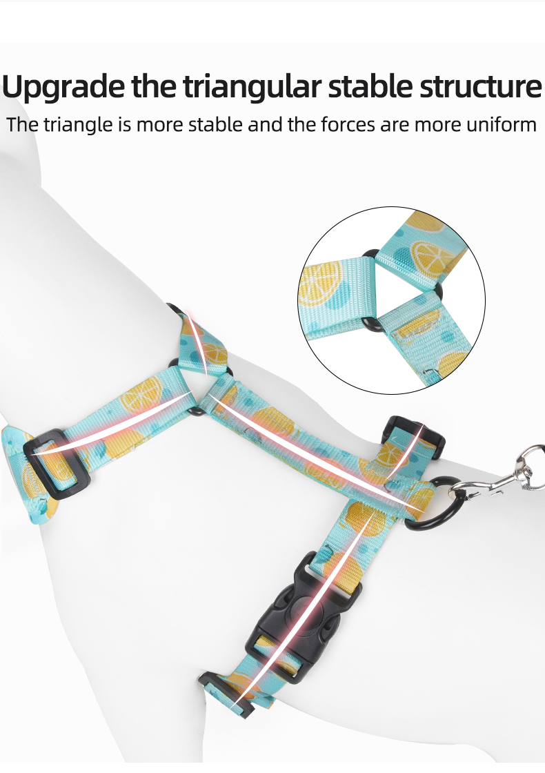 Colorful Pet Harness XSPH-0013
