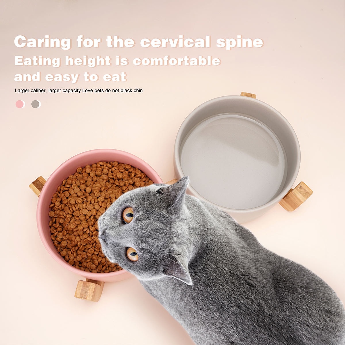 Classic Ceramic Pet Bowl XSFB-0015
