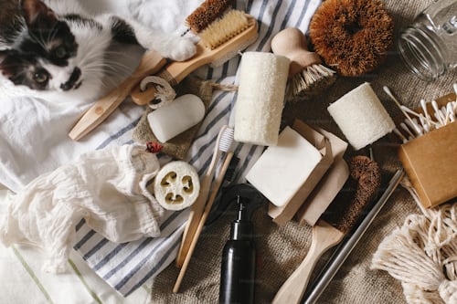 pet cleaning and grooming