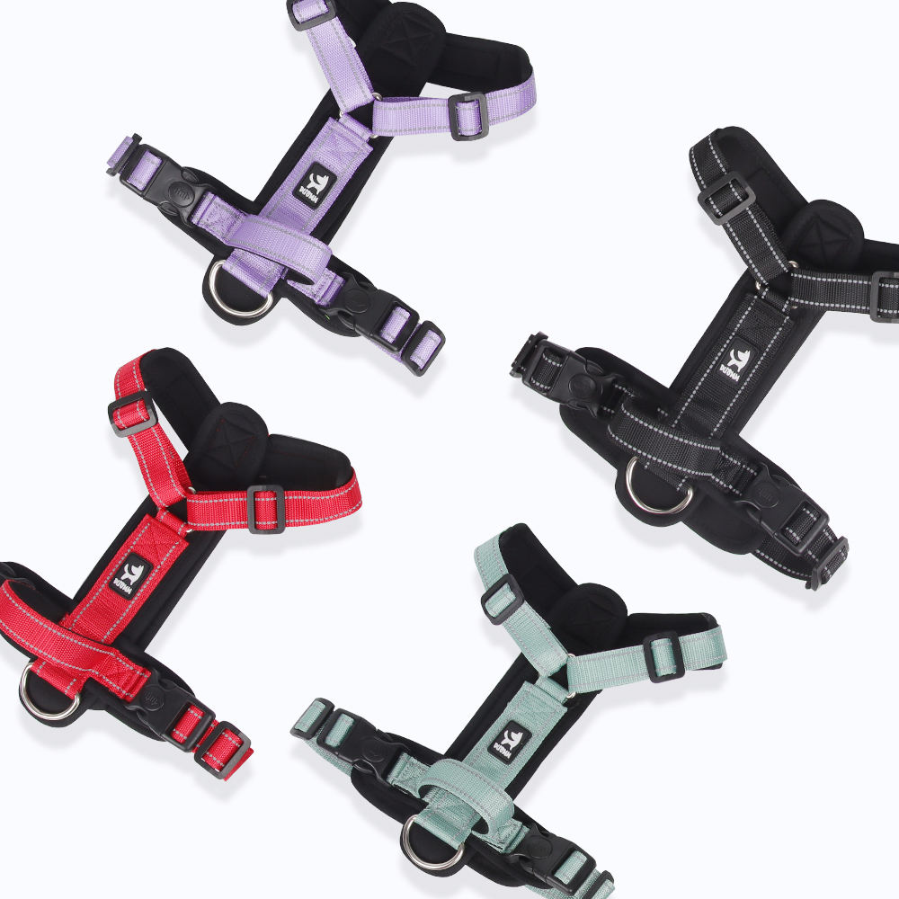 Sinewy Pet Harness XSPH-0009