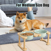 High Based Pet Bowl XSFB-0070