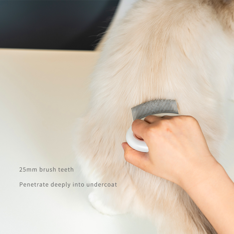 Handheld Pet Comb XSGP-0026