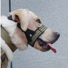 Durable Dog Muzzle XSCO-0007