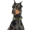Convenient Pet Collar XSCO-0005