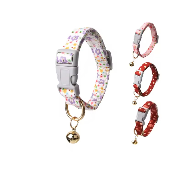 Collier de chien à la mode xsco-0011