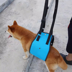 Pet Walking Aid XSTP-0004