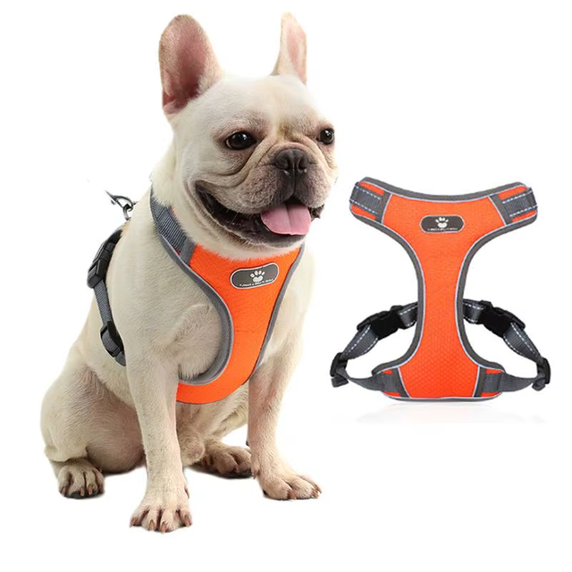 T-shaped Pet Harness XSPH-0062