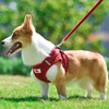 Corduroy Pet Harness XSPH-0043