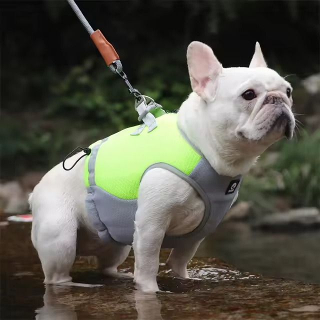 Cooling Pet Clothes XSCP-0001