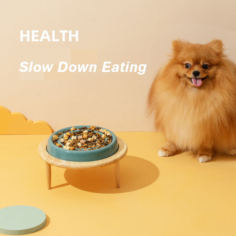 Ceramic Slow Food Pet Bowl XSFB-0068