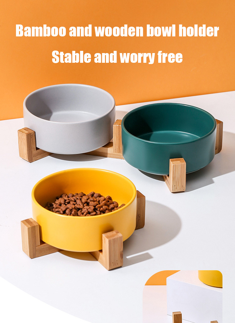 Colorful Pet Bowl XSPB-0038