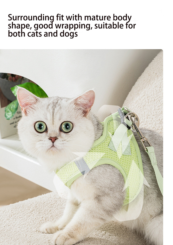 Delicate Pet Harness XSPH-0035