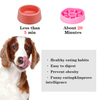 Simple Pet Slow Feeding Bowl XSFB-0005