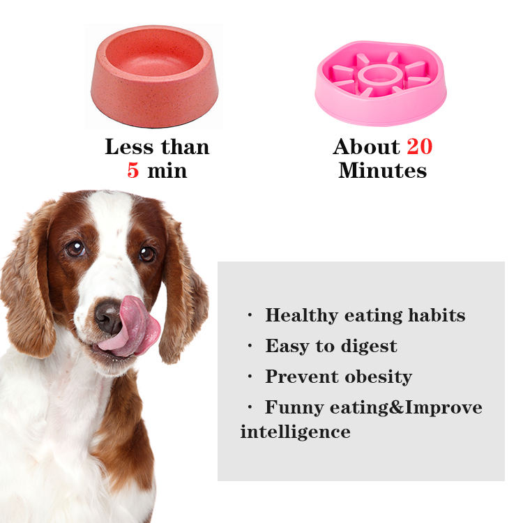 Simple Pet Slow Feeding Bowl XSFB-0005