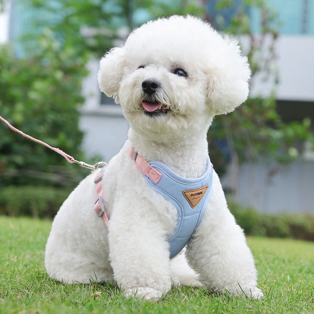 Simple Pet Harness XSPH-0025