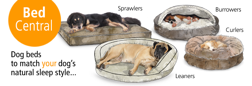 choose the correct pet beds