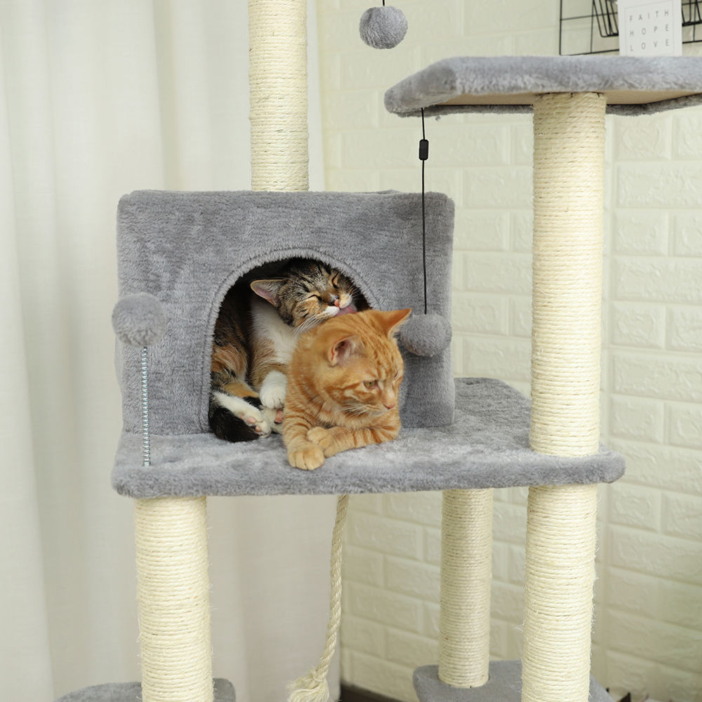 Rudimentary Cat Trees XSTS-0011