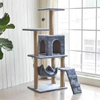Ordinary Cat Clambing Tree XSTS-0074
