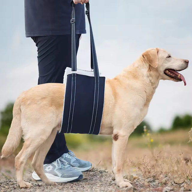 Ajuda de estimação de animais de estimação XSTP-0005