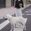 Multifunktional PET-LEASH XSPL-0020