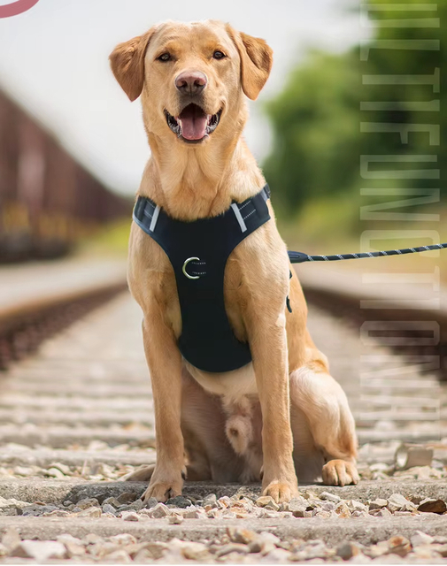 Portable Pet Harness XSPH-0058